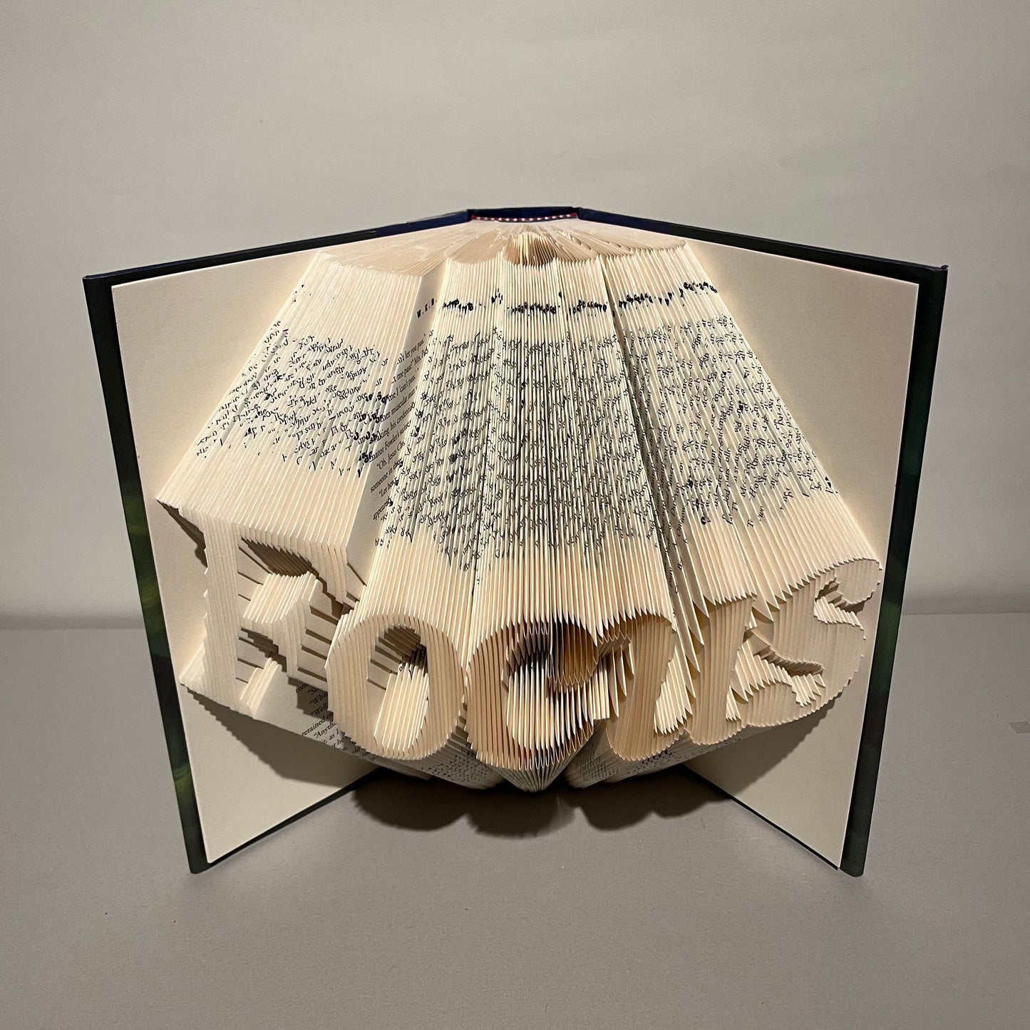 Focus