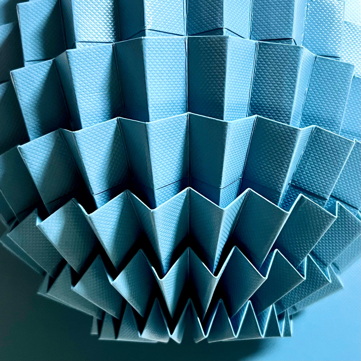 Seed (Sky Blue) (180)