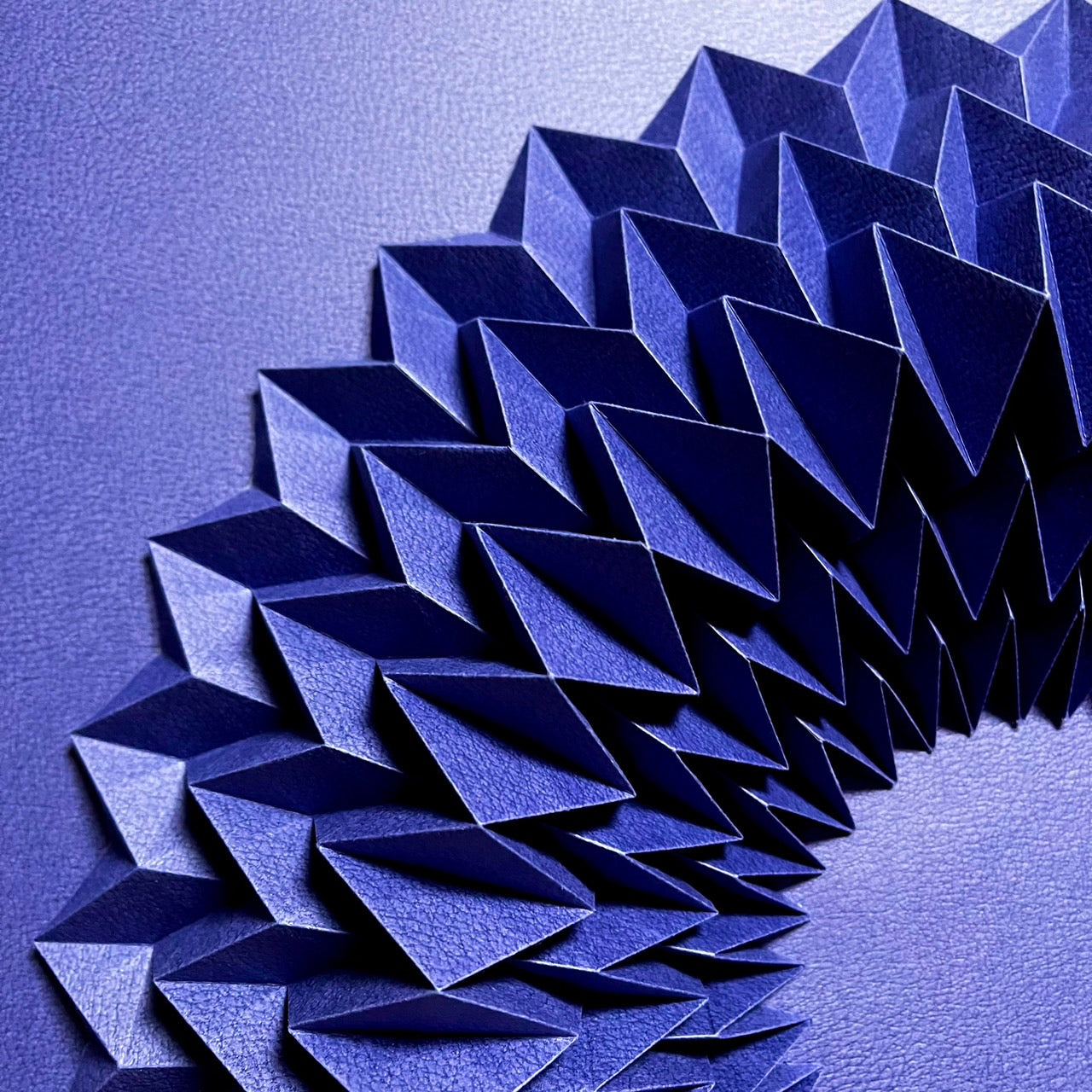 The circle (Blue)