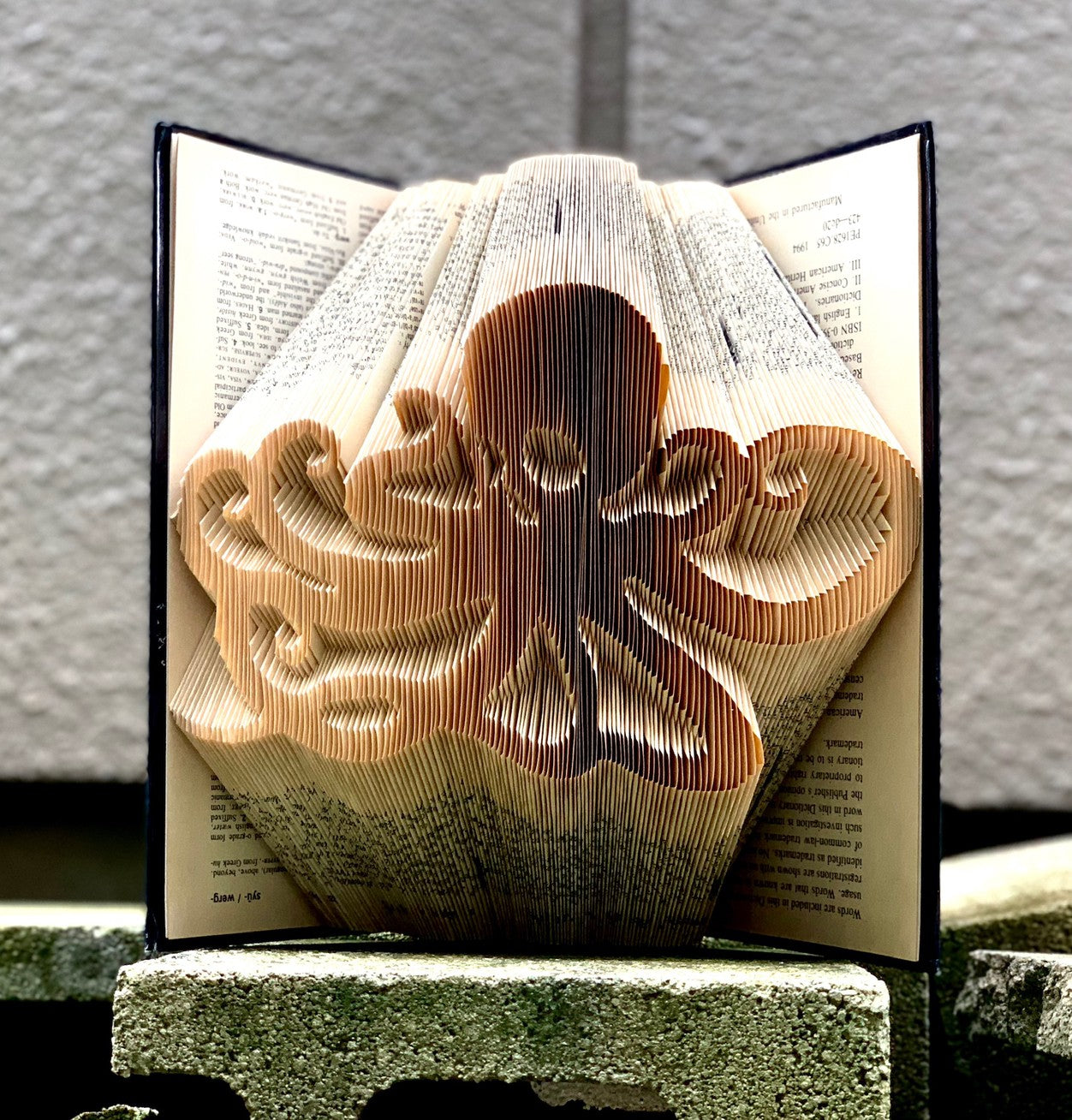 Octopus Skull