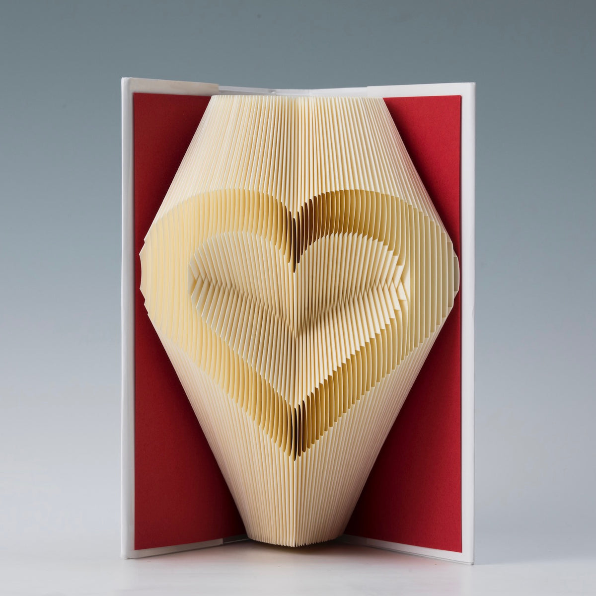 The Diary "Heart"