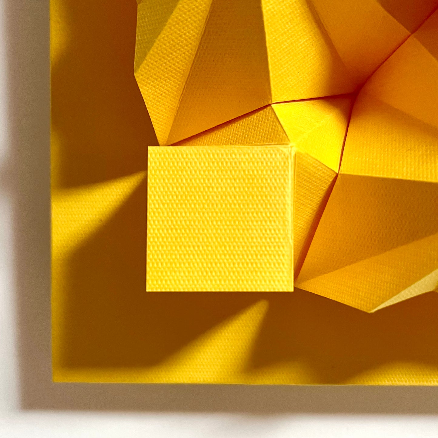 Dimensions (Yellow)