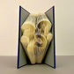 The Diary "Questions"