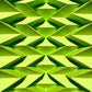 Illusion (180) (Yellow Green)