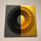 The Circle (330) (Black and Gold)