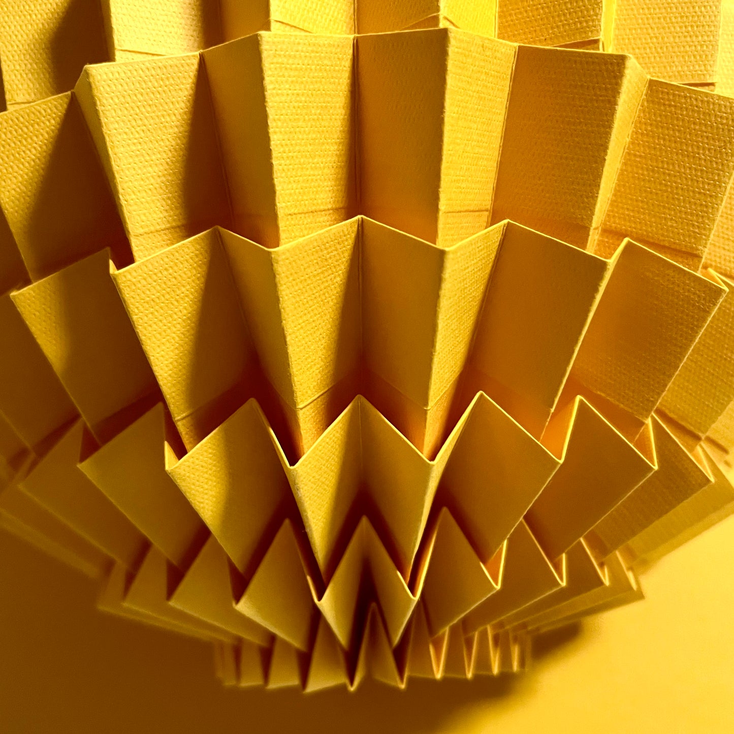 Seed (Yellow) (230)