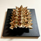 Spikes 5×7 (Champagne Gold)