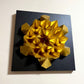 Thaumazein (Gold)