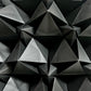 The Shield (Black)